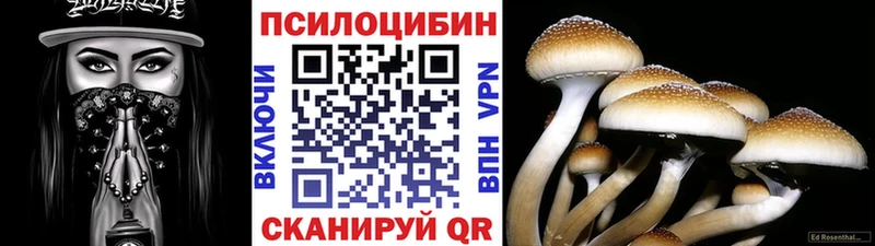 Галлюциногенные грибы Psilocybine cubensis  мориарти как зайти  Катав-Ивановск  магазин продажи  